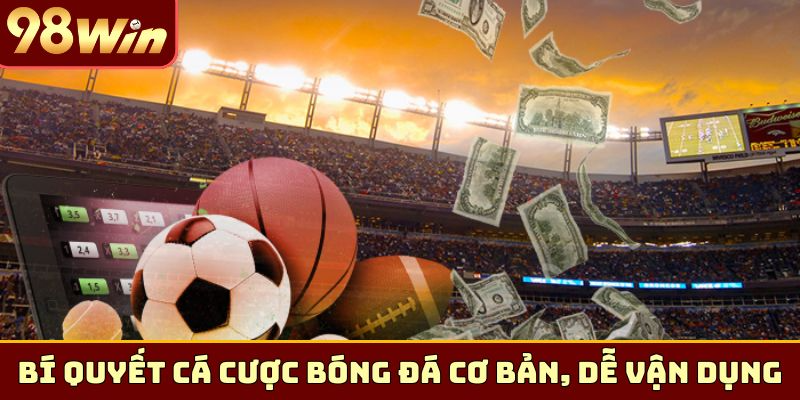 Bí quyết cá cược bóng đá cơ bản, dễ vận dụng