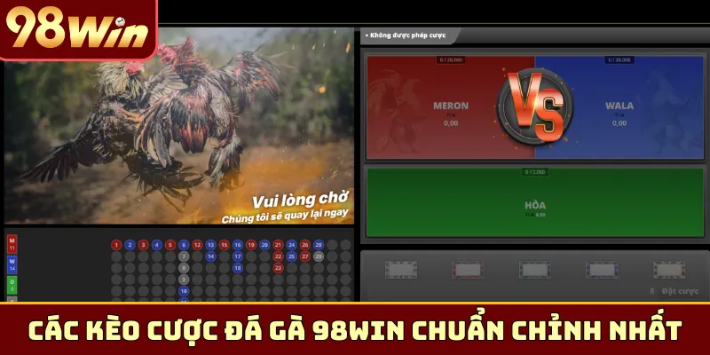 Các kèo cược đá gà 98Win chuẩn chỉnh nhất