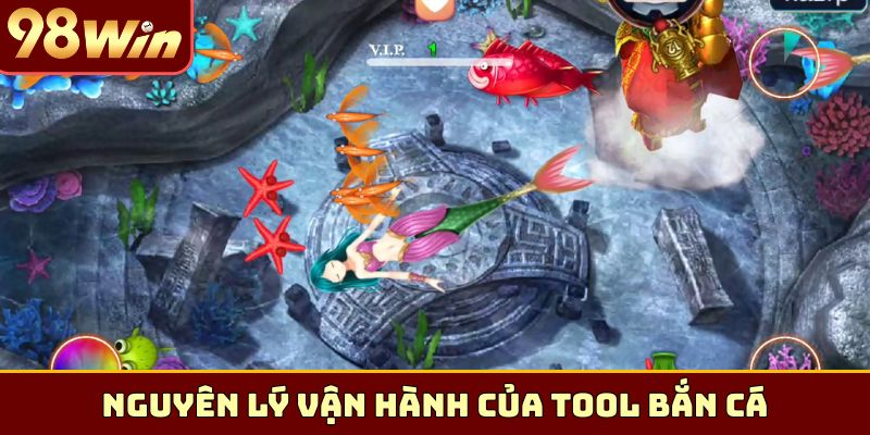 Nguyên lý vận hành của tool bắn cá